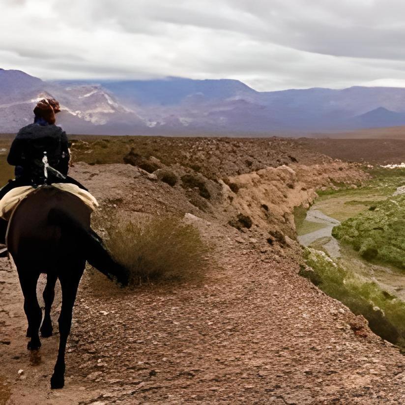 Cabanas De Montana Uspallata Eksteriør billede